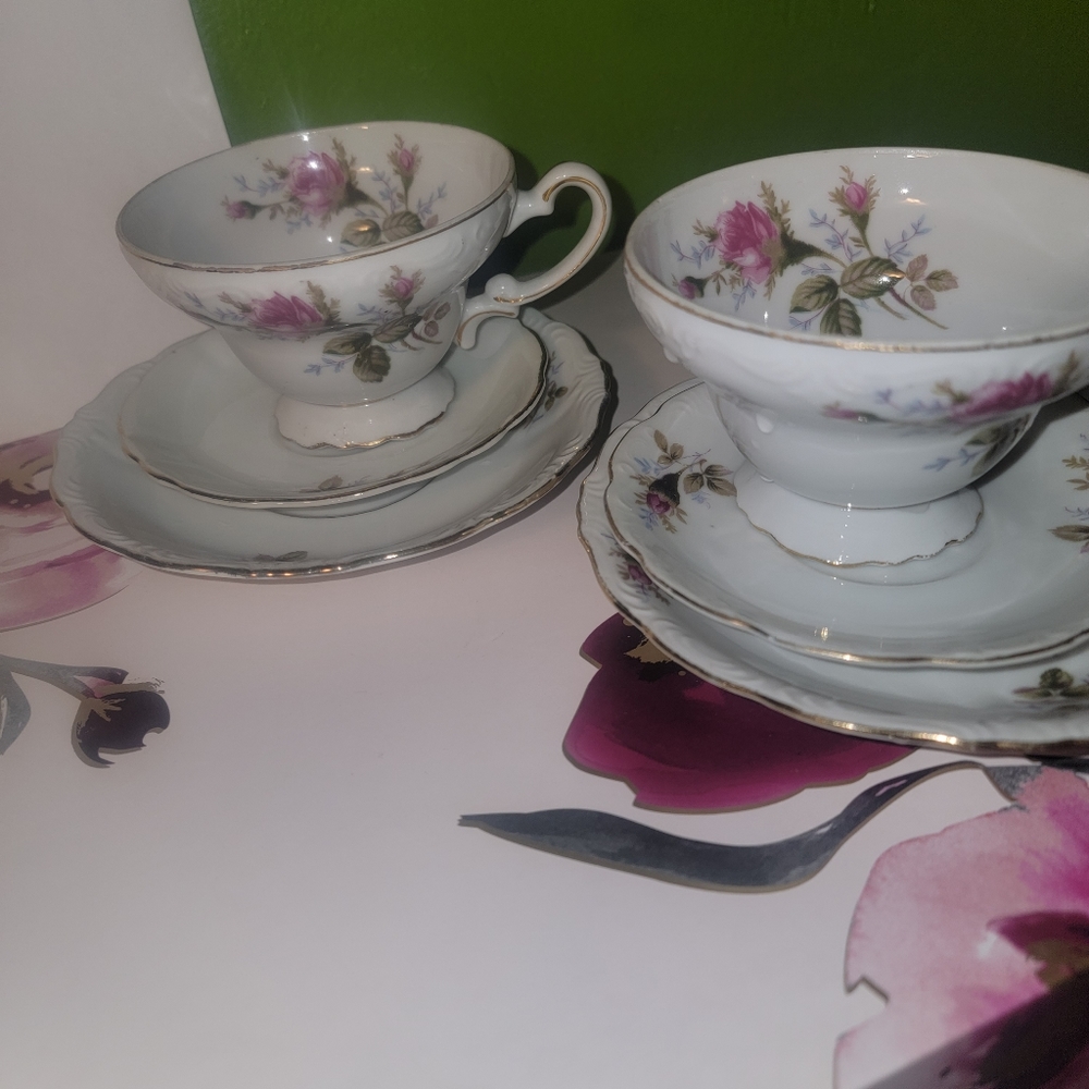 Aladdin Vintage Moss Rose Cup and Saucer, gold rims and rose buds with sprig flo
